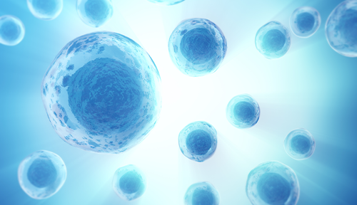 买球官网手机版·(中国)官方网站