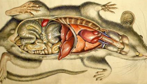 买球官网手机版·(中国)官方网站