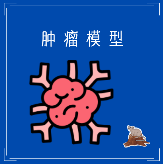 肿瘤模型
