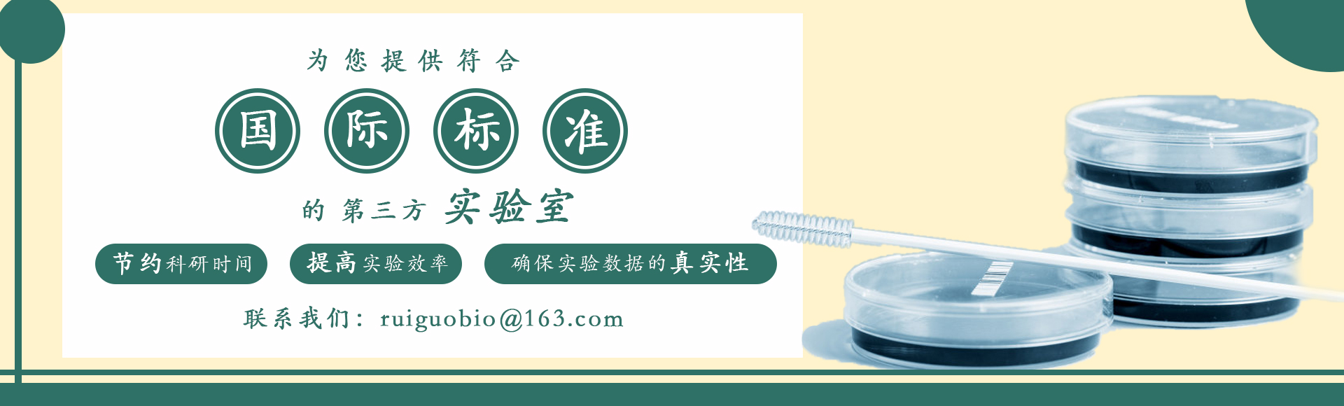 买球官网手机版·(中国)官方网站